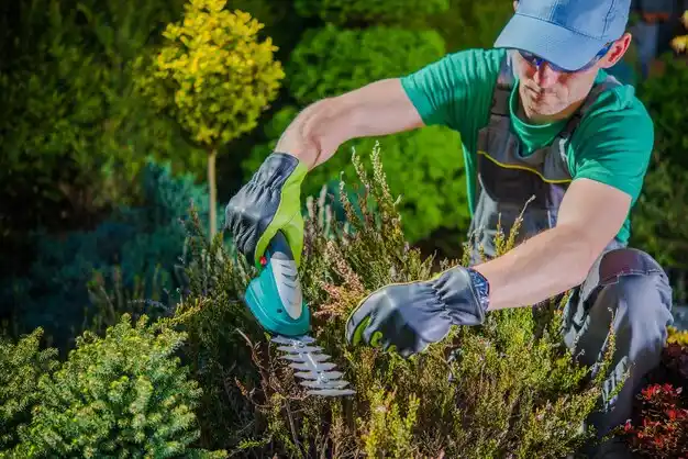 landscaping services Bainbridge